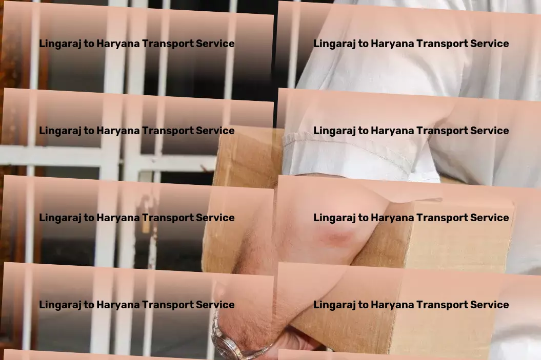 Lingaraj to Haryana Transport End-to-end logistics