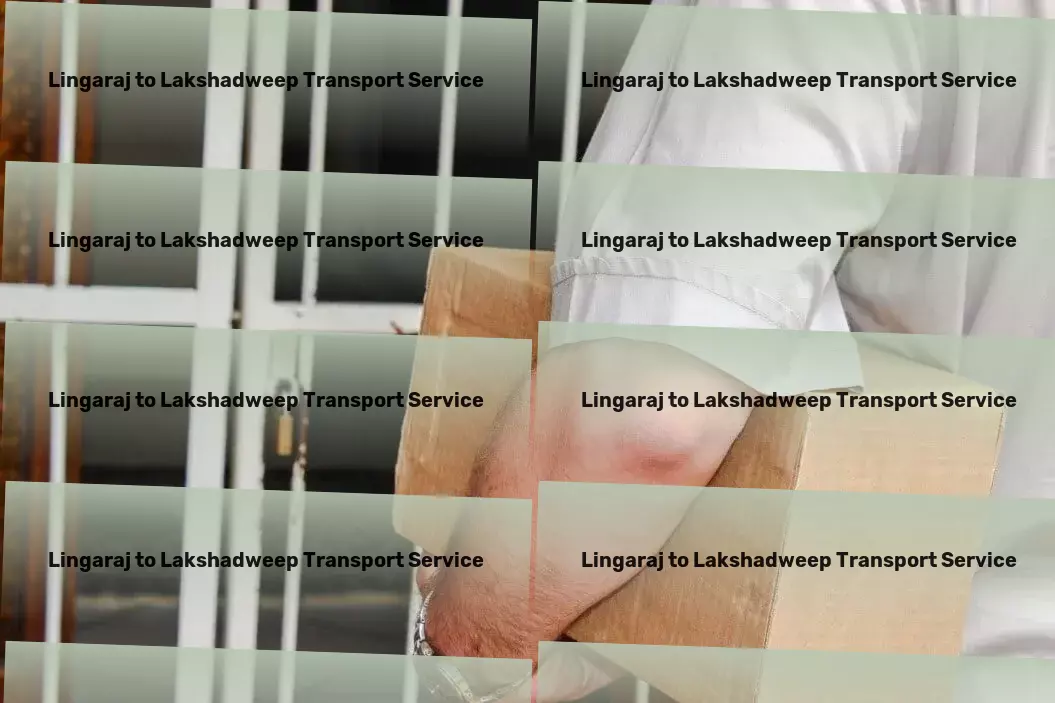 Lingaraj to Lakshadweep Transport International logistics provider