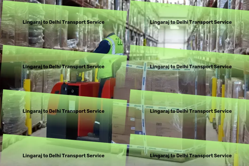 Lingaraj to Delhi Transport Freight parcel services