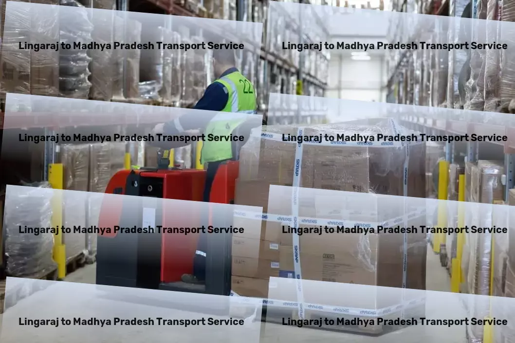 Lingaraj to Madhya Pradesh Transport Efficient cargo forwarding services