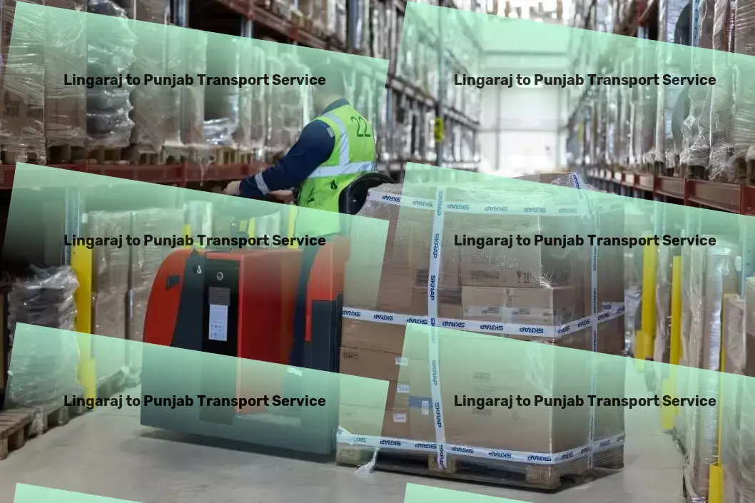 Lingaraj to Punjab Transport Multi-regional moving solutions