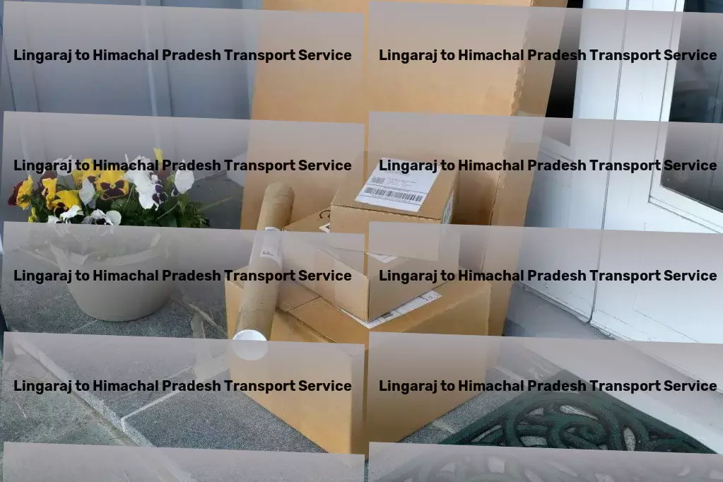 Lingaraj to Himachal Pradesh Transport Transforming everyday tasks with intelligent systems! - National package services