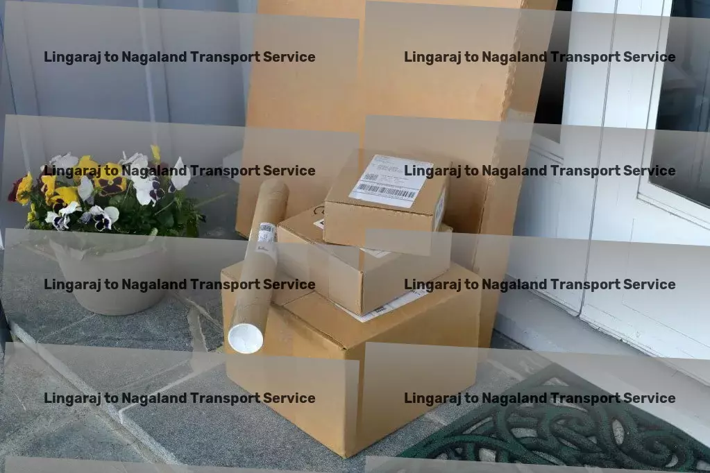 Lingaraj to Nagaland Transport The answer to your Indian transport dilemmas is here! - Specialized parcel delivery