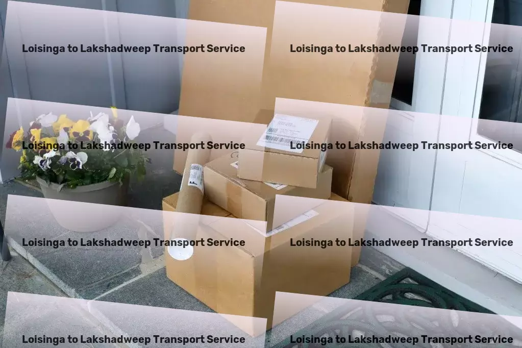 Loisinga to Lakshadweep Transport Specialized freight delivery