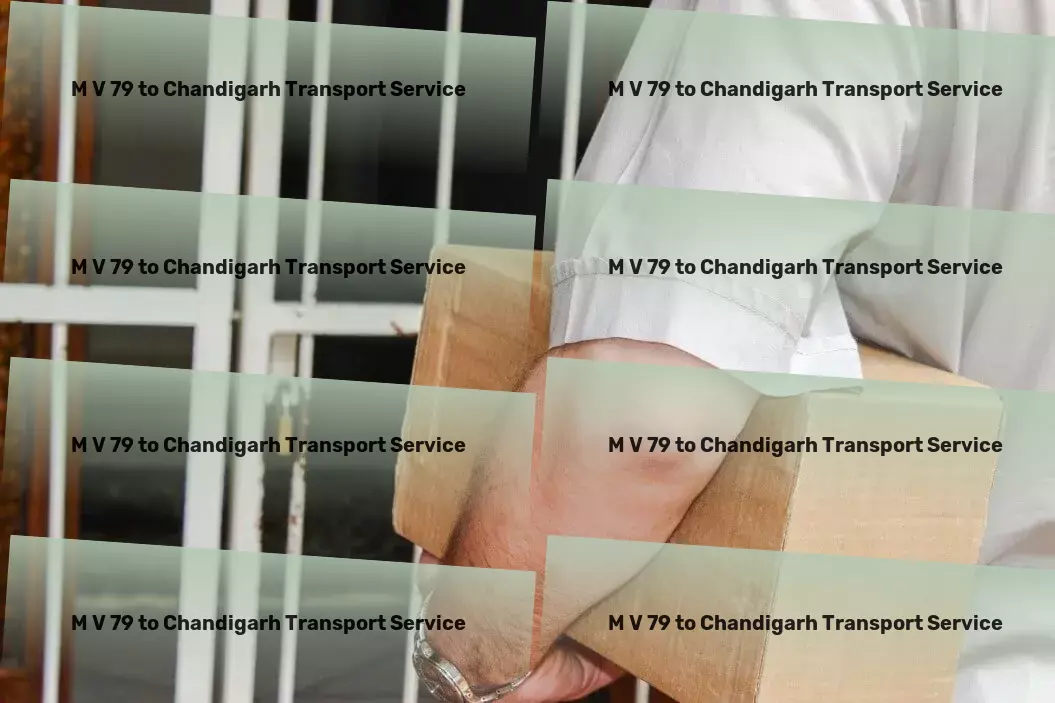 M V 79 to Chandigarh Transport Transport management services