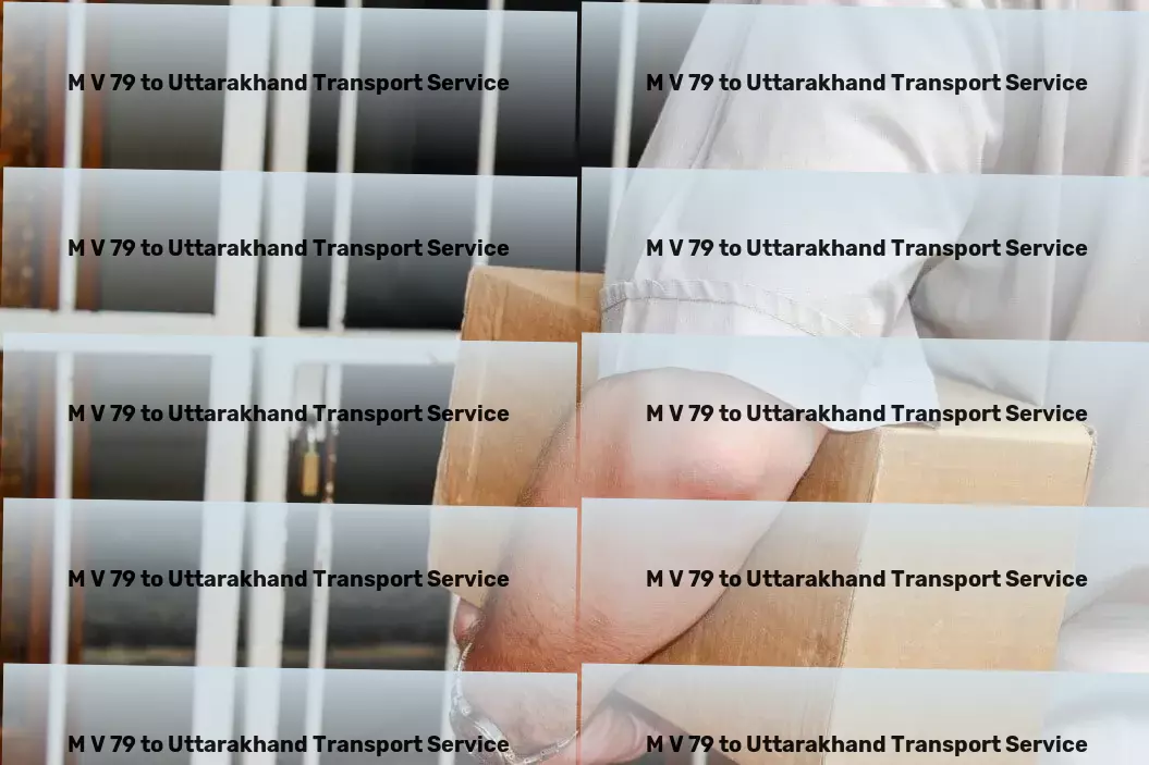 M V 79 to Uttarakhand Transport High-volume parcel delivery