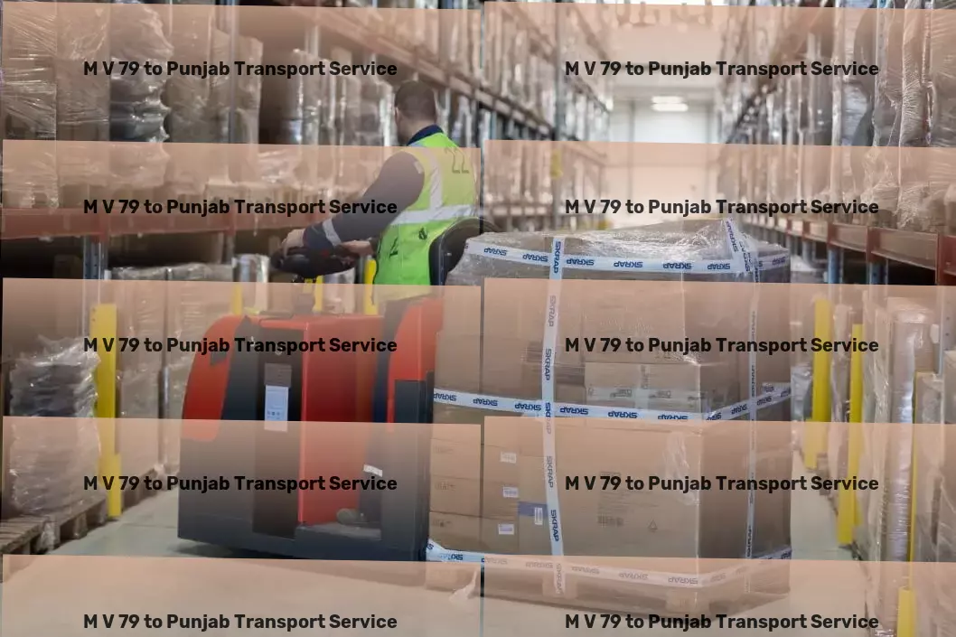 M V 79 to Punjab Transport National goods forwarding