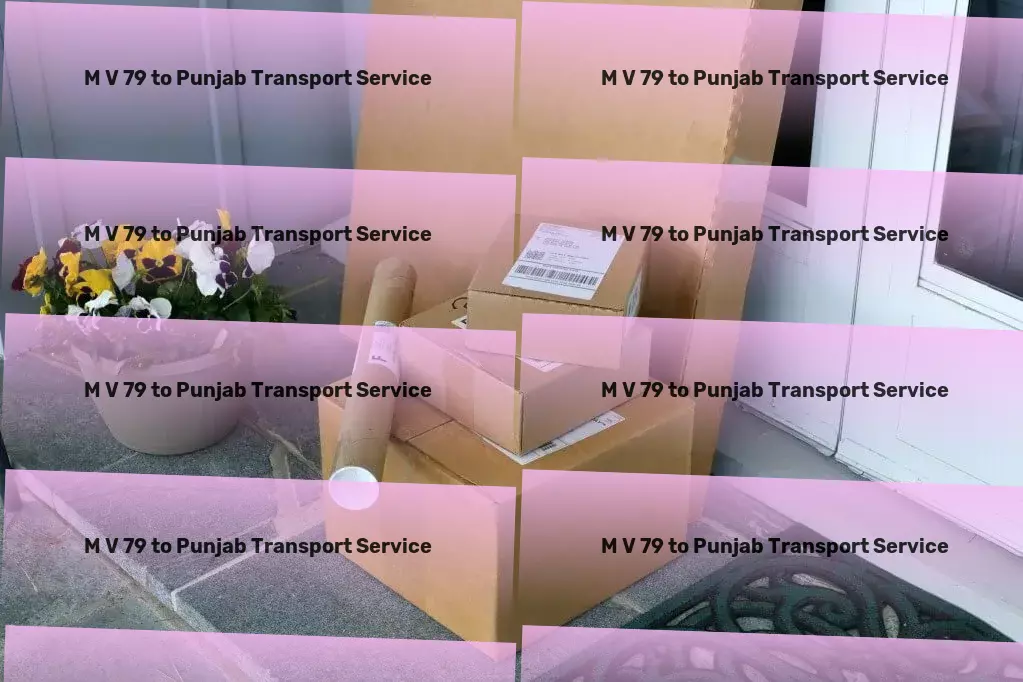 M V 79 to Punjab Transport Specialized transport and shipment