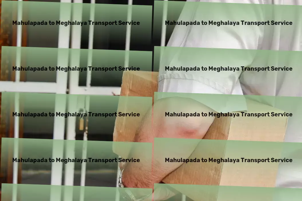 Mahulapada to Meghalaya Transport Advanced logistics and transportation