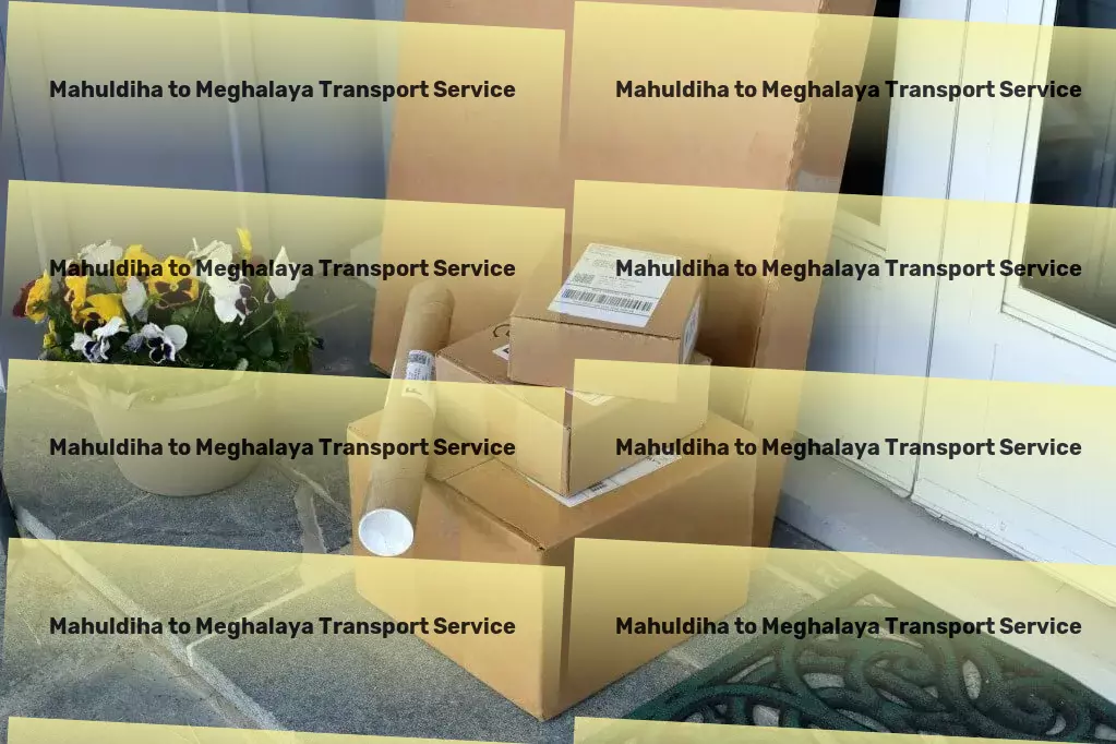 Mahuldiha to Meghalaya Transport Professional courier logistics