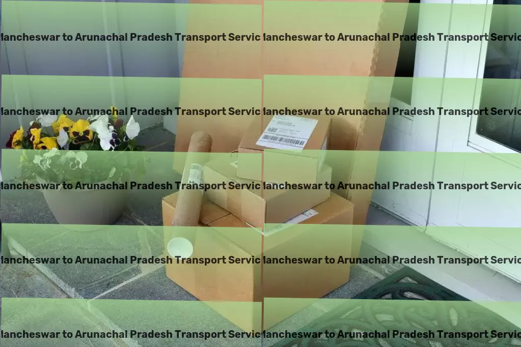 Mancheswar to Arunachal Pradesh Transport Innovative, efficient, and reliable: Your transport solution! - Household item courier