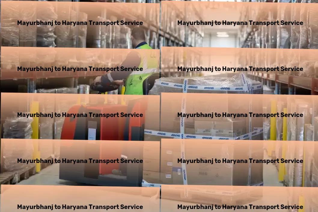 Mayurbhanj to Haryana Transport Efficient cargo moving solutions