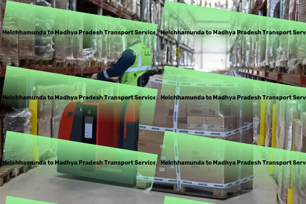 Melchhamunda to Madhya Pradesh Transport Customized freight delivery