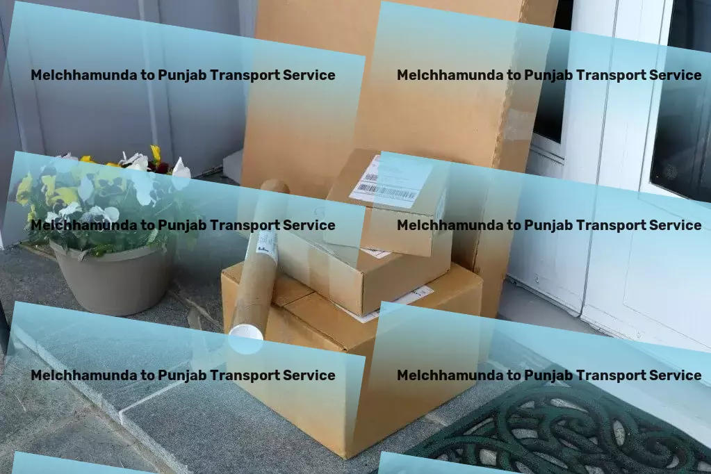 Melchhamunda to Punjab Transport Specialized package logistics